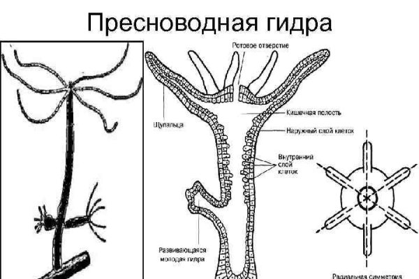 Кракен onoin