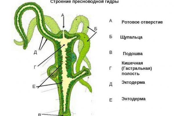 Кракен наркоман